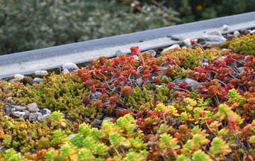 the cost of South Woodford green roof installation