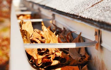 South Woodford gutter cleaning companies