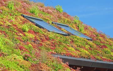 South Woodford living roof systems